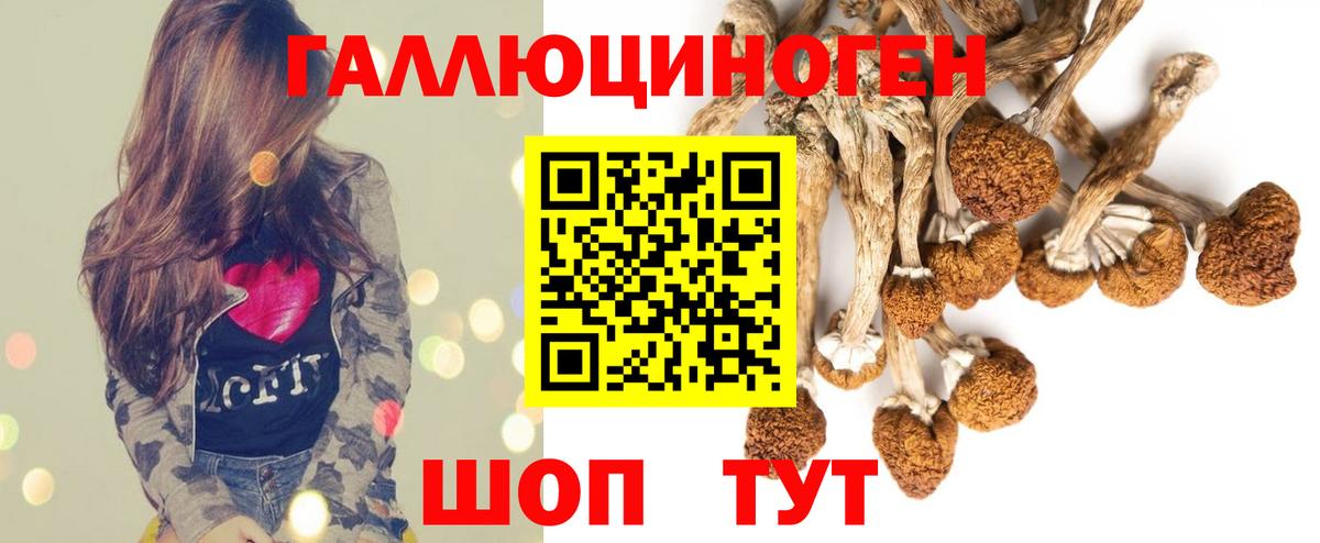 Галлюциногенные грибы мухоморы Североморск